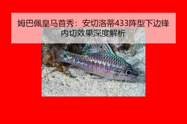 mu-ba-pei-huang-ma-shou-xiu-an-qie-luo-di-zhen-xing-xia-bian-feng-nei-qie-xiao-guo-shen-du-jie-xi-2-899.jpg